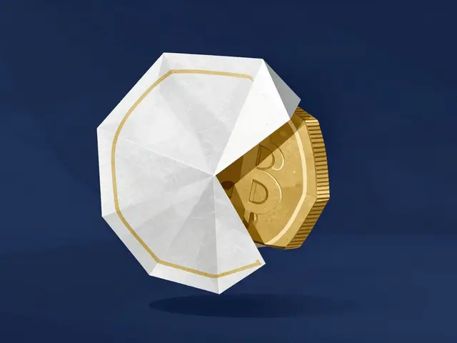 What is OFFICIAL VITALIK (VITALIK) Coin? Fact-Checking the Hype